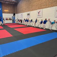 Image result for Quest Taekwondo