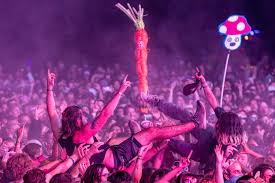 Image result for Devizes Dazzlers