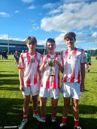 Image result for Sarsfields Hurling Club