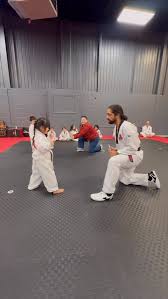 Image result for New Milton Taekwondo Club