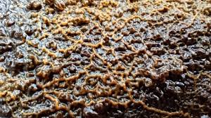 Attēlu rezultāti vaicājumam “Diderma subincarnatum plasmodium”