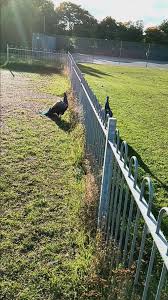 Image result for Pilkington (Doncaster) Badminton Club