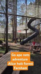 Image result for Go Ape! Alice Holt