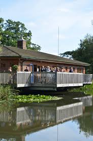 Image result for Dumbleton Cc