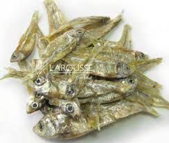 Attēlu rezultāti vaicājumam “Charales”