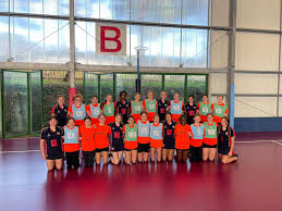 Image result for Erewash pixies netball club