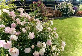 「アイスバーグ」の画像検索結果