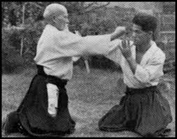Image result for Aikido Rickmansworth
