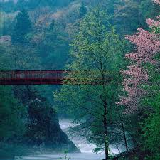 /MANKAI RED ZÖNE에 대한 이미지 검색결과