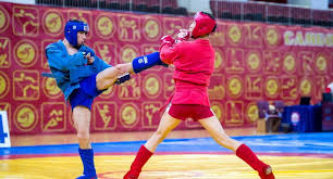 Image result for Combat Sambo