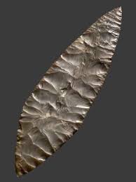 Image result for feuille-laurier-silex