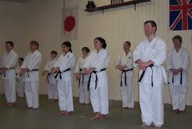 Image result for Seiki Juku Karate Club