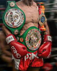 Image result for Enfield T'ai Tsung Chinese Boxing