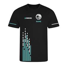 Image result for Dover Lifeguard Sc