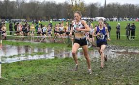 Image result for Exeter Harriers Limited