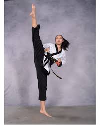 Image result for East Coast Martial Arts