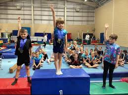 Image result for Phoenix Gymnastics