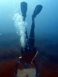 Image result for University Of East London Sub-Aqua Club