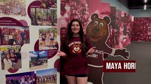 Image result for L&G Acrobatics