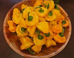 Afbeeldingsresultaat voor yellow mushroom hot pepper