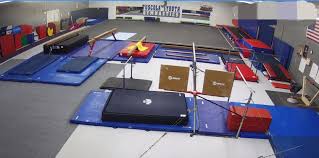Image result for Tessaro Gymnastics Club