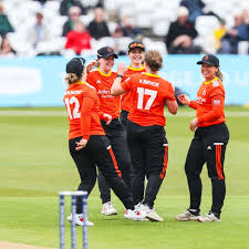 Image result for Stretton Cricket Club