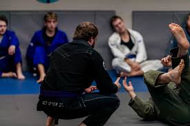 Image result for Ndm Martial Arts