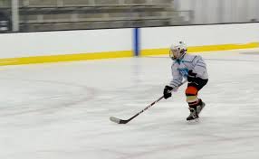 Image result for West Coast Wasps Skater Hockey Club