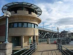 Image result for Thornaby Amateur Swimming Club