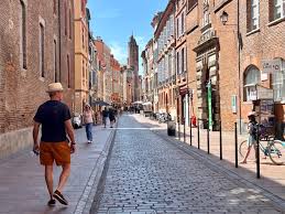 Image result for toulouse
