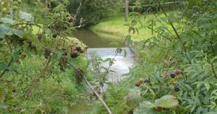 Image result for Wyre Piddle Cricket Club (Wpcc)