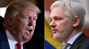Image result for julian assange
