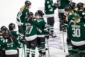 Image result for Fleet Hockey Club