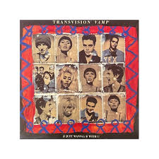 Image result for transvision vamp