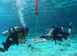 Image result for World Divers
