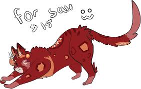 Image result for limecat