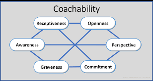 Image result for Coachability
