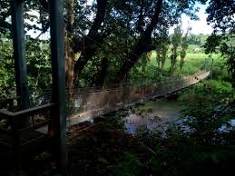 Image result for PONT DE SINGE