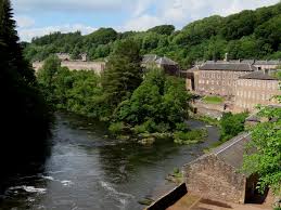 Attēlu rezultāti vaicājumam “Acalitus longisetosus”