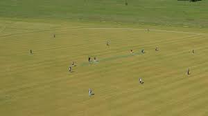 Image result for Forest Green Estonia Cricket Club