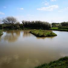 Image result for Addlestone Angling Society