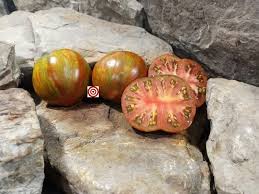 Afbeeldingsresultaat voor erdie family oxheart tomato