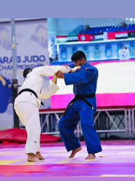 Image result for Universal Judo Academies