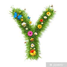 Image result for    [     @  Y