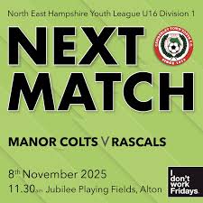 Image result for Manor Colts Youth Football Club