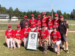 Image result for Cornwall Cougars