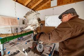 Image result for Haydock Hunters Speedminton Club