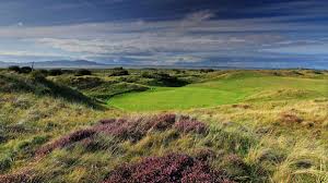 Image result for Solway Links Golf Course