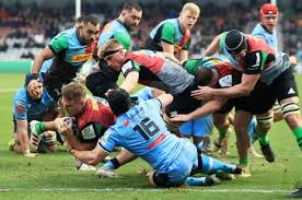 Image result for Cardiff Harlequins