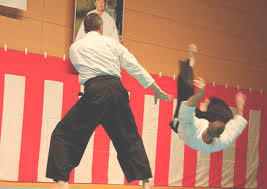 Image result for Iwama Shin Shin Aiki Shuren Kai